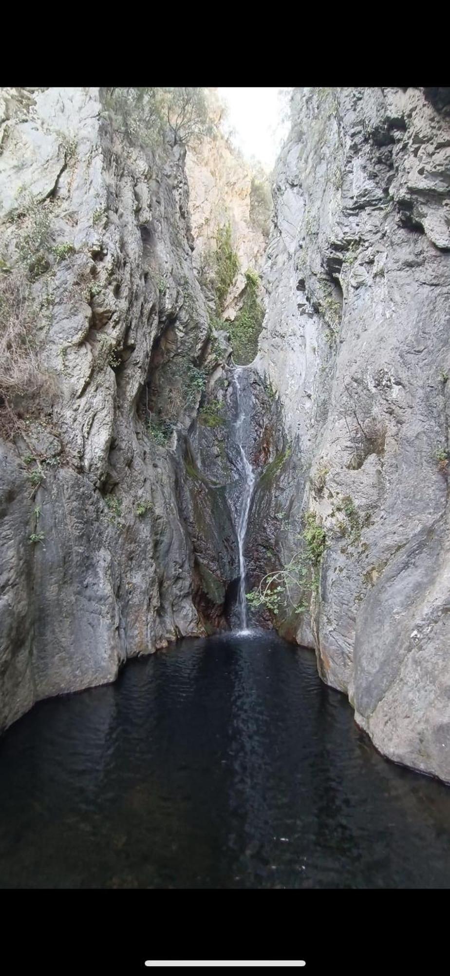Maison De Vacances Le Bosquet Céret المظهر الخارجي الصورة